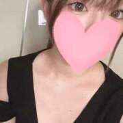 ヒメ日記 2025/09/09 16:30 投稿 アン 石庭