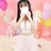 ヒメ日記 2025/09/13 22:21 投稿 アン 石庭