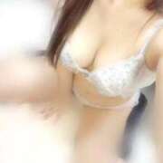 ヒメ日記 2025/09/14 18:40 投稿 アン 石庭