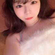 ヒメ日記 2025/09/25 12:51 投稿 アン 石庭