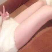 ヒメ日記 2025/09/27 17:50 投稿 アン 石庭