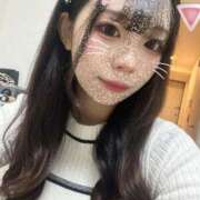 ヒメ日記 2025/11/28 15:31 投稿 アン 石庭