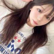 ヒメ日記 2025/11/29 10:58 投稿 アン 石庭