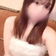 アン お知らせ📢 石庭