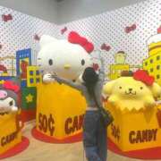 アン 大好きなキティーちゃん❤️ 石庭