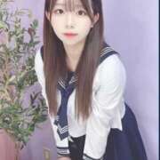 ヒメ日記 2025/12/11 12:10 投稿 アン 石庭