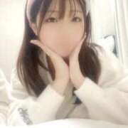 ヒメ日記 2025/12/12 20:50 投稿 アン 石庭