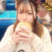 ヒメ日記 2025/12/13 10:20 投稿 アン 石庭