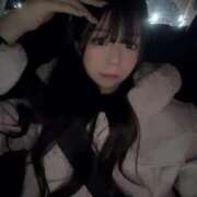 ヒメ日記 2026/01/26 13:30 投稿 アン 石庭