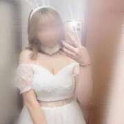 ヒメ日記 2026/01/29 12:20 投稿 アン 石庭