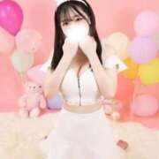 ヒメ日記 2026/02/16 21:50 投稿 アン 石庭