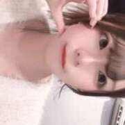 ヒメ日記 2026/09/28 15:30 投稿 アン 石庭
