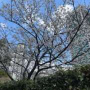 ヒメ日記 2025/03/29 17:24 投稿 ひな 完熟ばなな神戸・三宮店