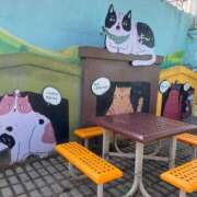 ヒメ日記 2025/04/03 11:01 投稿 ひな 完熟ばなな神戸・三宮店