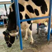 ヒメ日記 2025/06/24 15:02 投稿 ひな 完熟ばなな神戸・三宮店