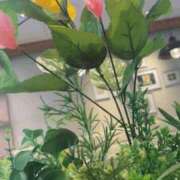 ヒメ日記 2025/08/03 09:10 投稿 ひな 完熟ばなな神戸・三宮店