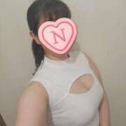 ヒメ日記 2025/12/27 08:00 投稿 ねね 石庭