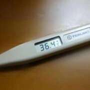 ヒメ日記 2025/12/27 09:34 投稿 ねね 石庭