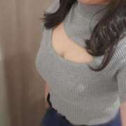 ヒメ日記 2025/12/28 08:20 投稿 ねね 石庭