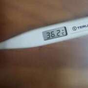 ヒメ日記 2025/12/29 11:50 投稿 ねね 石庭