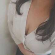 ヒメ日記 2025/12/31 08:20 投稿 ねね 石庭