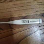 ヒメ日記 2025/12/31 09:40 投稿 ねね 石庭