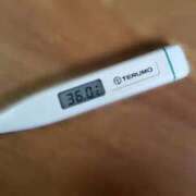 ヒメ日記 2026/01/02 08:34 投稿 ねね 石庭