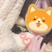 ヒメ日記 2025/02/17 23:40 投稿 ゆり 池袋しろパラ