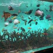 ヒメ日記 2025/03/03 11:42 投稿 ほのか 東京エステコレクション 新橋・銀座