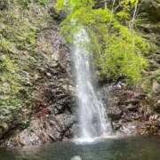 ヒメ日記 2025/04/20 17:45 投稿 ほのか 東京エステコレクション 新橋・銀座