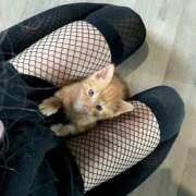 ヒメ日記 2025/09/29 16:31 投稿 めいさ 奥様さくら難波店