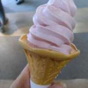 ヒメ日記 2025/05/04 17:15 投稿 ことは 奥鉄オクテツ東京店（デリヘル市場）