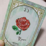 ヒメ日記 2025/05/29 03:15 投稿 ことは 奥鉄オクテツ東京店（デリヘル市場）