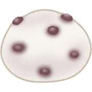 ヒメ日記 2025/03/19 13:45 投稿 ゆか 脱がされたい人妻 町田・相模原店