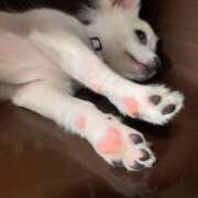 ヒメ日記 2025/05/02 17:15 投稿 ゆか 脱がされたい人妻 町田・相模原店