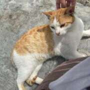 ヒメ日記 2025/04/07 16:03 投稿 ナミ【超敏感潮吹きガール】 ドＭなバニーちゃん小倉店