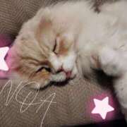 ヒメ日記 2025/07/16 15:35 投稿 のあ 綺麗なお姉様専門　町田リング4C（アンジェリークグループ）