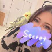 ヒメ日記 2025/02/17 19:22 投稿 りりか 千葉松戸ちゃんこ