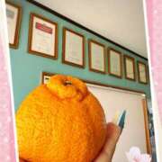 ヒメ日記 2025/02/21 16:24 投稿 りりか 千葉松戸ちゃんこ