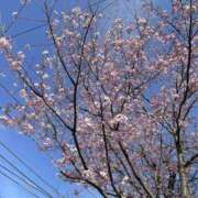 ヒメ日記 2025/03/04 09:30 投稿 りりか 千葉松戸ちゃんこ