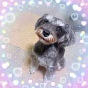 ヒメ日記 2025/03/09 20:52 投稿 りりか 千葉松戸ちゃんこ