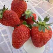 ヒメ日記 2025/03/19 20:07 投稿 りりか 千葉松戸ちゃんこ