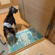 ヒメ日記 2025/03/27 11:30 投稿 りりか 千葉松戸ちゃんこ