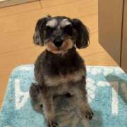 ヒメ日記 2025/04/04 12:12 投稿 りりか 千葉松戸ちゃんこ