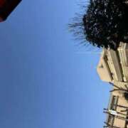 ヒメ日記 2025/04/06 17:33 投稿 りりか 千葉松戸ちゃんこ