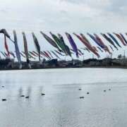 ヒメ日記 2025/04/08 17:34 投稿 りりか 千葉松戸ちゃんこ