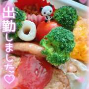 ヒメ日記 2025/04/17 11:45 投稿 りりか 千葉松戸ちゃんこ