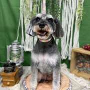 ヒメ日記 2025/05/06 10:55 投稿 りりか 千葉松戸ちゃんこ