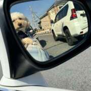 ヒメ日記 2025/05/13 23:22 投稿 りりか 千葉松戸ちゃんこ