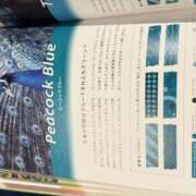 ヒメ日記 2025/05/31 09:45 投稿 りりか 千葉松戸ちゃんこ